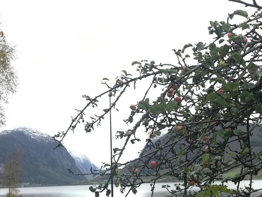 Apartment With Lake View In Jolster Årdal 外观 照片